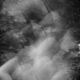 Mystic in motion
