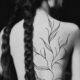 Within blood, bones and branches