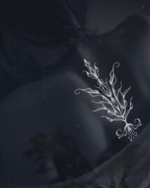 Nightflowers